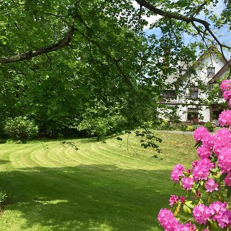 Manor House Bed & Breakfast Norfolk Eksteriør bilde